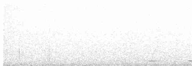 Kısa Gagalı Kızılca Güvercin - ML160898151