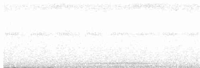 Kısa Gagalı Kızılca Güvercin - ML160898181