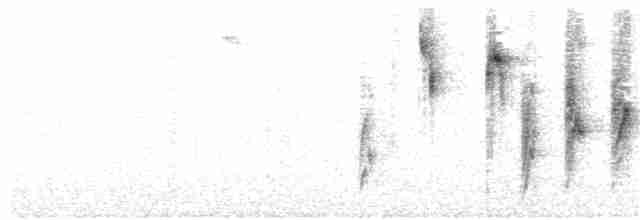 Пестроголовая камышевка - ML160939451