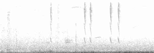 Yakut Boğazlı Kolibri - ML160958601
