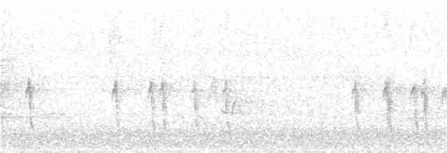 "Шишкар ялиновий (Northeastern, або тип 12)" - ML160973571