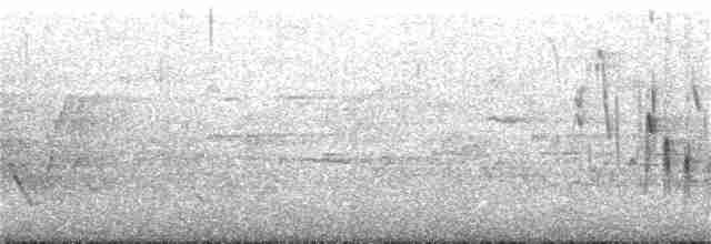 Vireo Ojiblanco - ML160984891