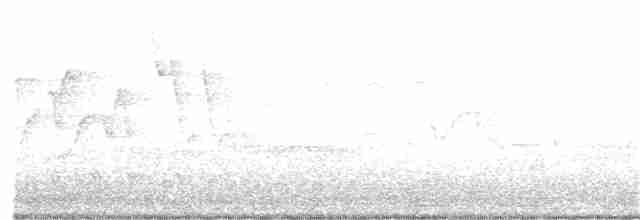 svartbrystparula - ML161024921