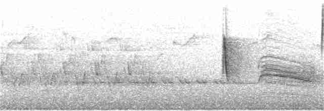 Vireo Ojiblanco - ML161137541