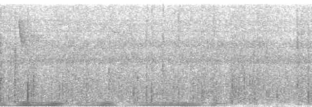Пестрогорлый алапи (pyrrhonota) - ML161157