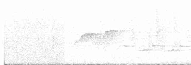 Acadian Flycatcher - ML161204961