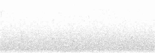 Vireo Ojiblanco - ML161213871