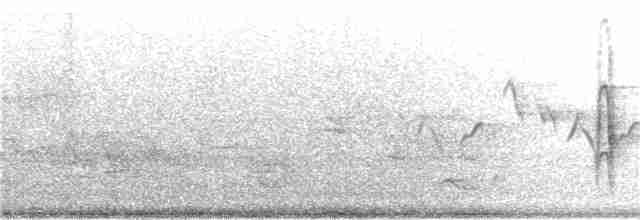 Vireo Ojiblanco - ML161217661