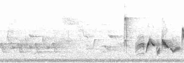 Vireo Ojiblanco - ML161218391