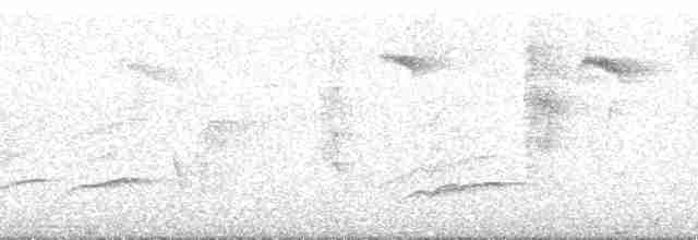 Oriole Warbler - ML161247
