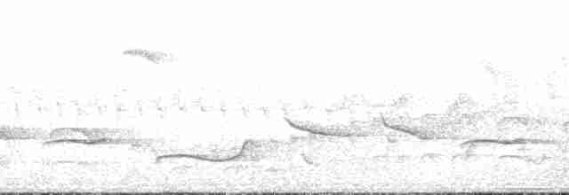 Oriole Warbler - ML161252