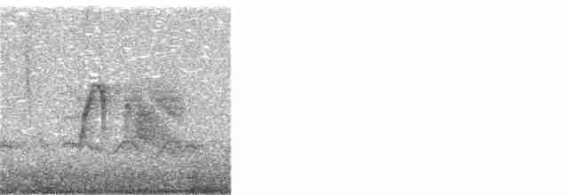 Ивовый мухолов - ML161252831