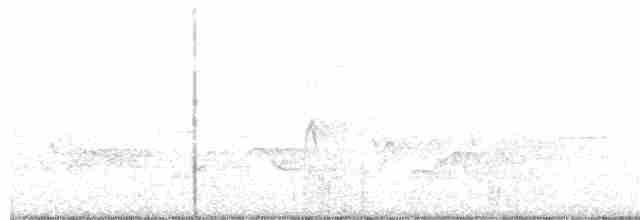 lesňáček modropláštíkový - ML161276971