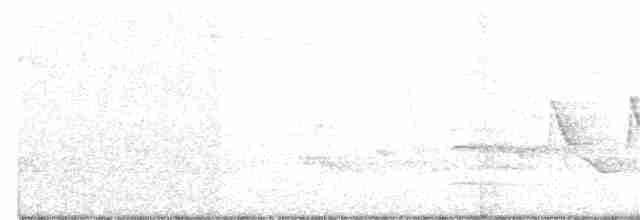 Hooded Warbler - ML161283501
