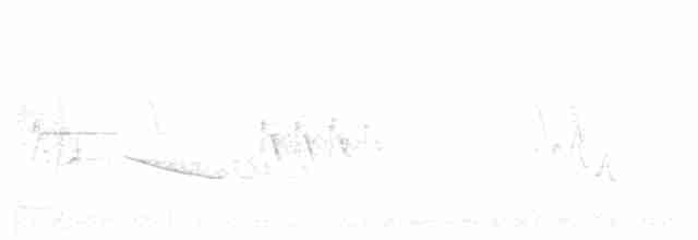"Желтокрылая x Голубокрылая червеедка (гибрид, Brewster's)" - ML161284621