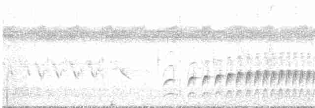 Graubrust-Dickichtschlüpfer - ML161302551