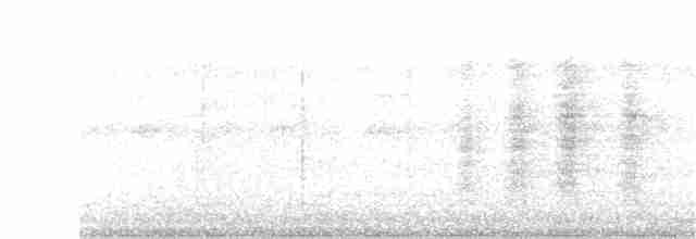 Бледногрудый дрозд - ML161398761