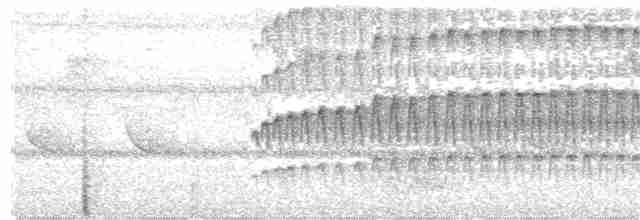 Kara Karınlı Yazılı Ağaçkakan - ML161403101