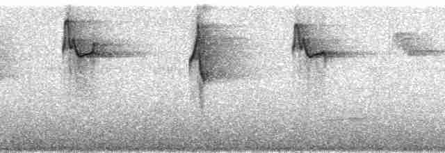 Чешуегорлый колибри-отшельник - ML161592
