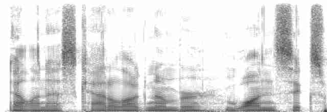 Diard Trogonu - ML161694
