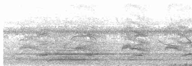 Keel-billed Toucan - ML161703621