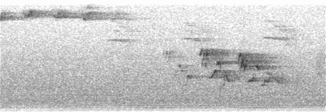 Черногорлая хвойница - ML161717591