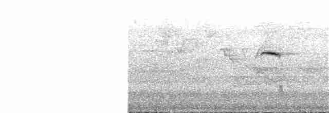Небесная мухоловка - ML161779391