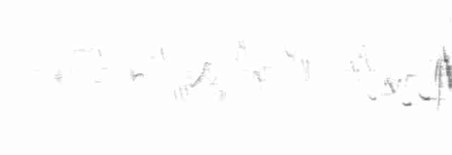 Ruiseñor Pechinegro del Himalaya - ML161779621