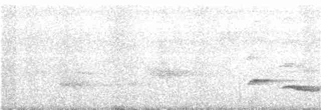 Nava Çıtkuşu - ML161843521