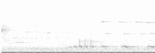 Black-billed Cuckoo - ML161849421