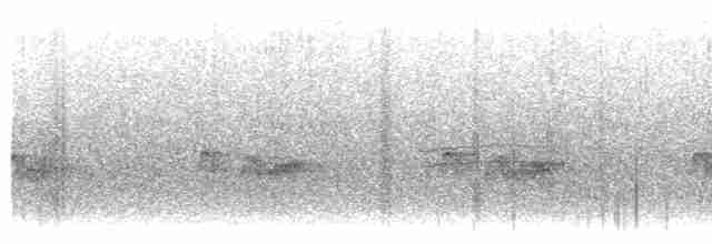 Long-tailed Shrike - ML161886691