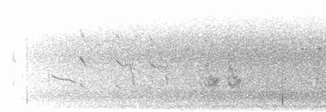 Long-tailed Shrike - ML161886701