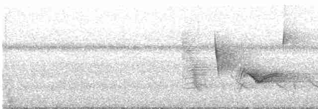 White-eyed Vireo - ML161918051