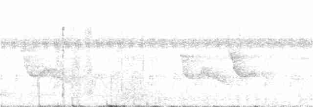 White-winged Shrike-Tanager - ML161970771