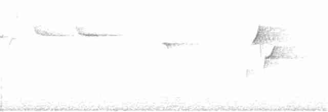 Batı Amerika Sinekkapanı [difficilis grubu] - ML161982041