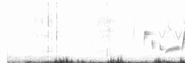 White-eyed Vireo - ML162017891