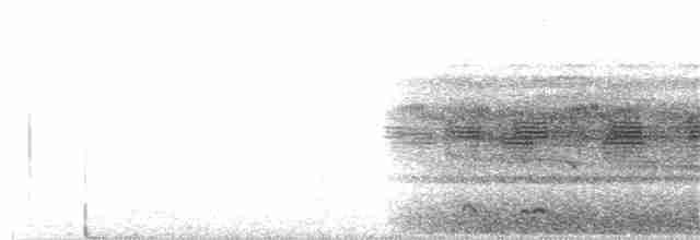 Tawny-collared Nightjar - ML162030031