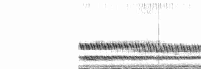 Black-tailed Crake - ML162041231
