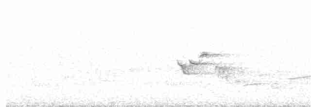Narcissus Flycatcher - ML162057791
