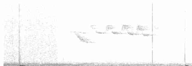 キヅタアメリカムシクイ（coronata） - ML162060941