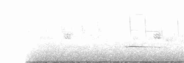 Рыжебрюхий фиби - ML162107391