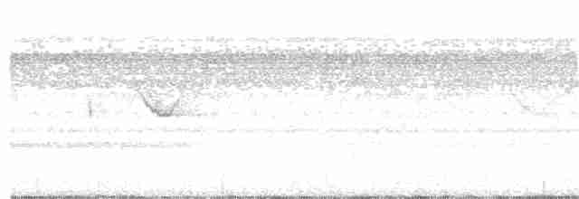 Spot-tailed Nightjar - ML162176891