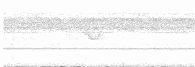 Spot-tailed Nightjar - ML162176921