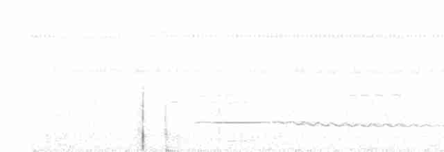 Little Tinamou - ML162215421