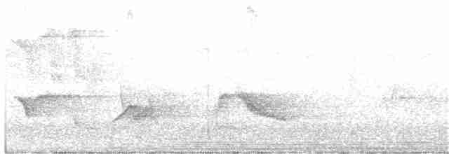 Чернокрылая пиранга - ML162232911
