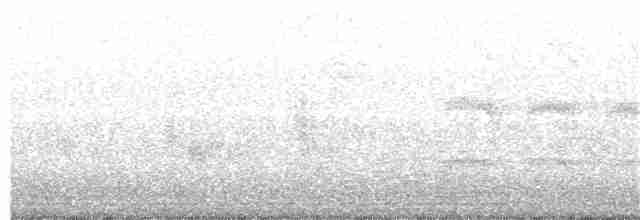 Acridotheres sp. (black myna sp.) - ML162240371