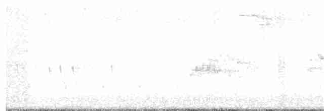 European Greenfinch - ML162271411