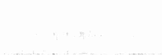 Рыжекрылая овсянка-барсучок - ML162301951