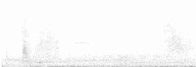 Ластовиця бурочерева - ML162311391