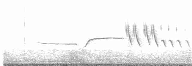 Bruant à couronne blanche (nuttalli) - ML162339321